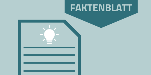 Iconbild Faktenblatt